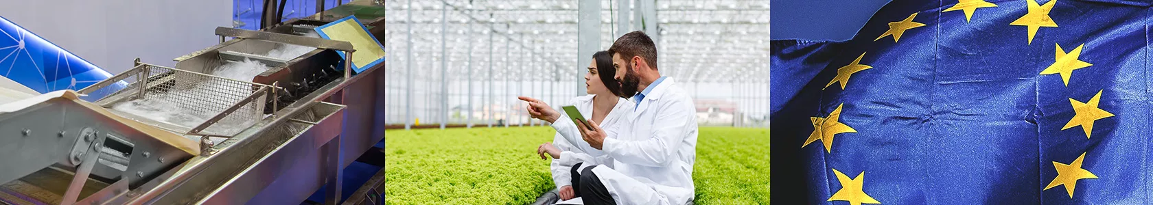 Macchine, produzione agroalimentare e contesto del mercato europeo
